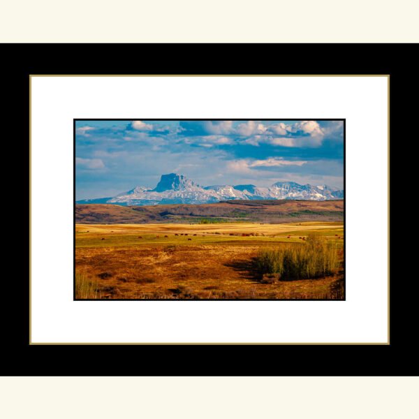 Photograph of Chief Mountain in spring